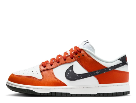 NIKE DUNK LOW GG FV6909-800 [1]
