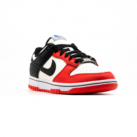 Nike Dunk Low Retro Emb DD3363-100 [2]