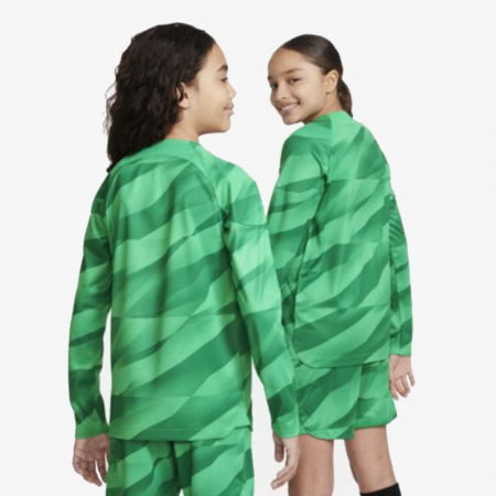 Psg Y NK DF Stad JSY LS Gk DX2751-325 [1]