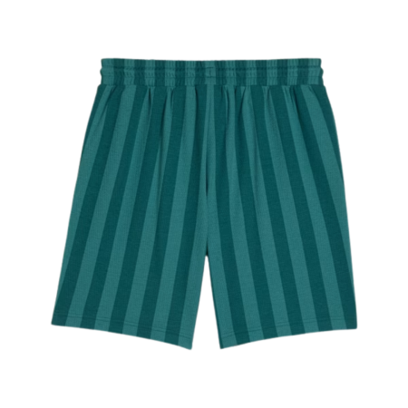 PUMA CLASS 8" Shorts Emerald Ice 692355-41 [3]