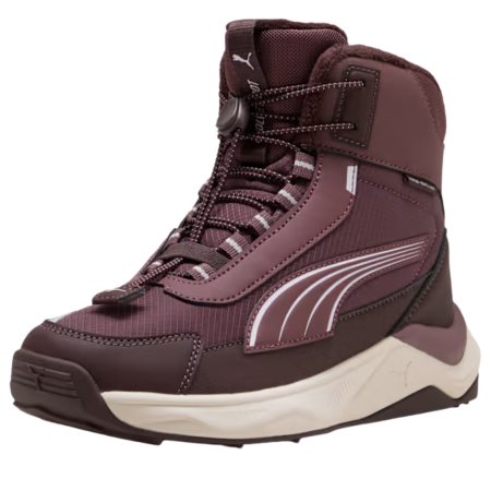 Puma Evolve 2.0 Boot JR Rich Cocoa-Powde 313808-02 [2]