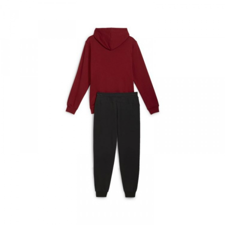 PUMA SQUAD Hooded Suit TR Intense Red 681901-13 [1]