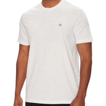 SS BADGE 30S JERSEY CLASSIC TEE LV04RC272G-YAF [2]