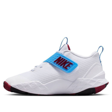 TEAM HUSTLE D 12 (GS) HF6279-102 [1]