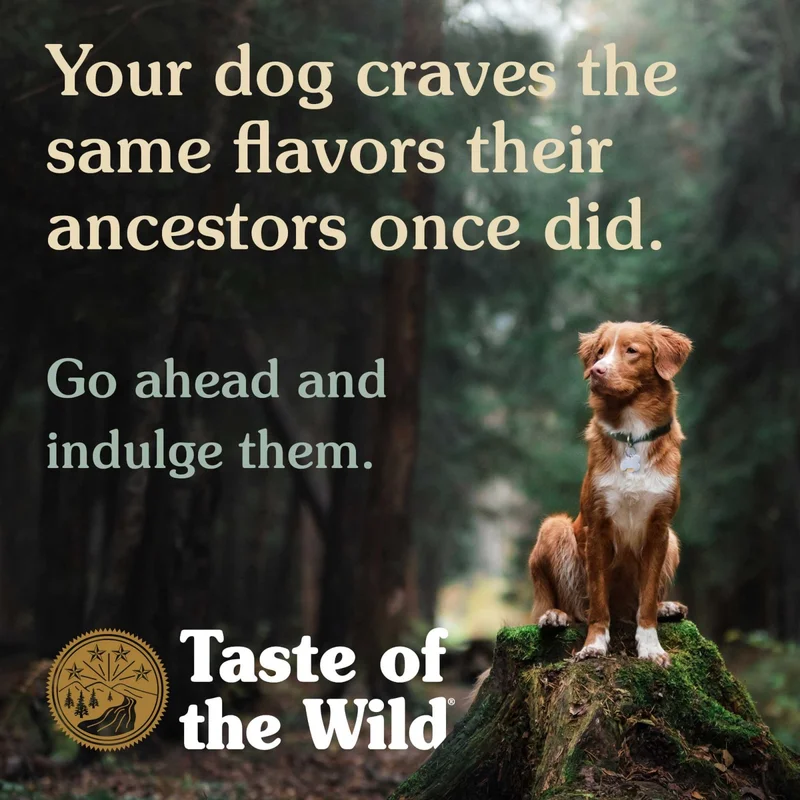 Taste of the Wild Appalachian Valley cu Vanat si Naut pentru caini de rasa mica [4]