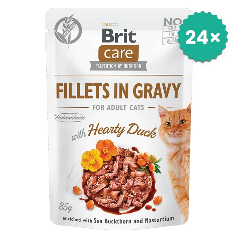 Hrana umeda pentru pisici - Pachet econom 24 x Brit care Fileuri de Rata in sos pentru pisici