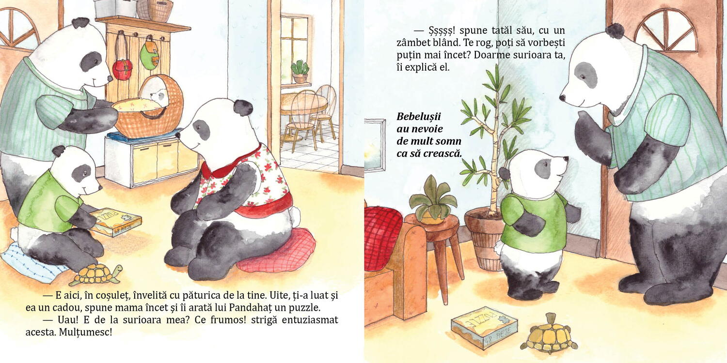 Pandahat are o surioara [3]