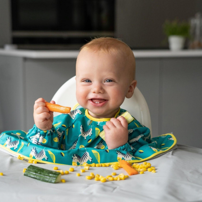 Baveta cu maneci lungi - Zebre vesele [2]