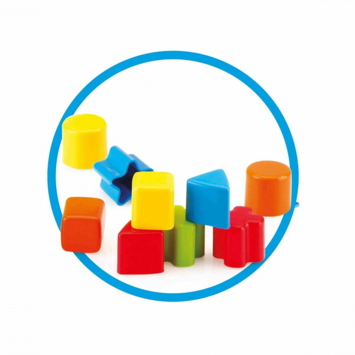 Broasca testoasa cu forme [3]