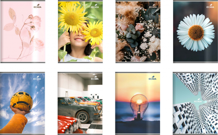 CAIET A5 100 FILE POLICROM ECADA 29510AR [1]