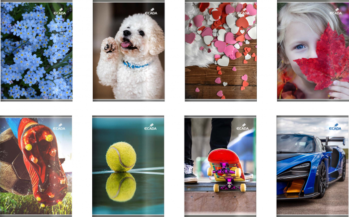 CAIET A5 80 FILE POLICROM ECADA 29580DR [1]