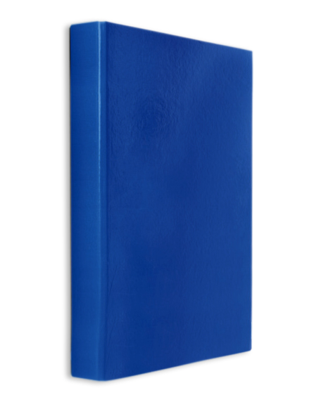 CAIET MECANIC PLASTIFIAT 2 INELE A4 DACO A [1]