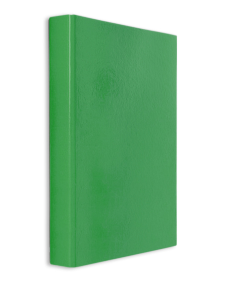 CAIET MECANIC PLASTIFIAT 2 INELE A4 DACO V [1]