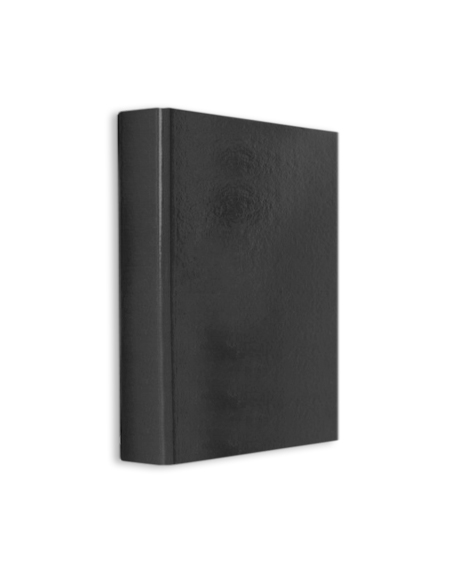 CAIET MECANIC PLASTIFIAT 2 INELE A5 DACO N [1]