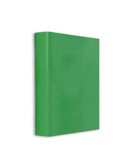 CAIET MECANIC PLASTIFIAT 2 INELE A5 DACO V [1]