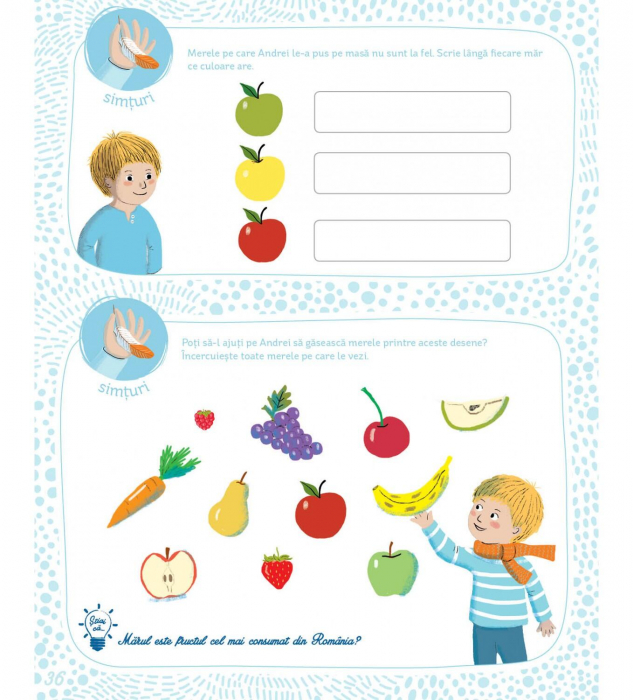 Caietul meu de activitati Montessori [5]