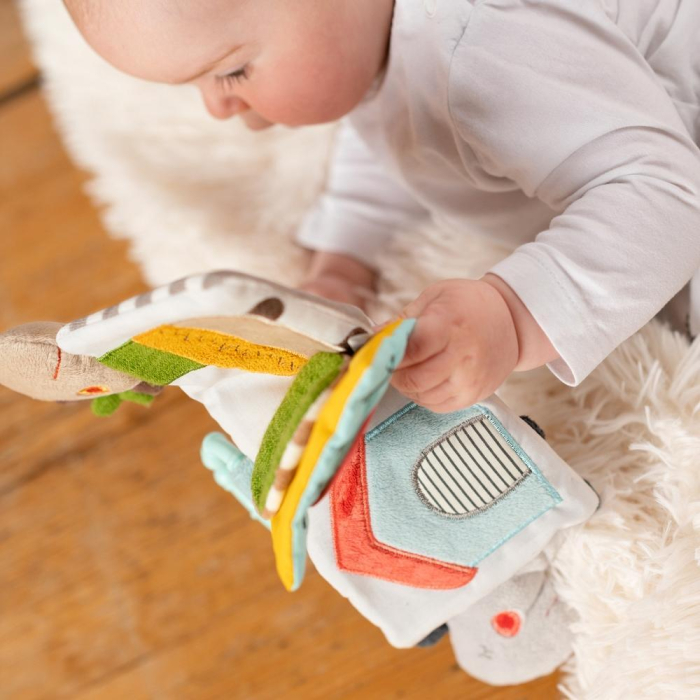 Carticica din plus - Loopy si Lotta [3]