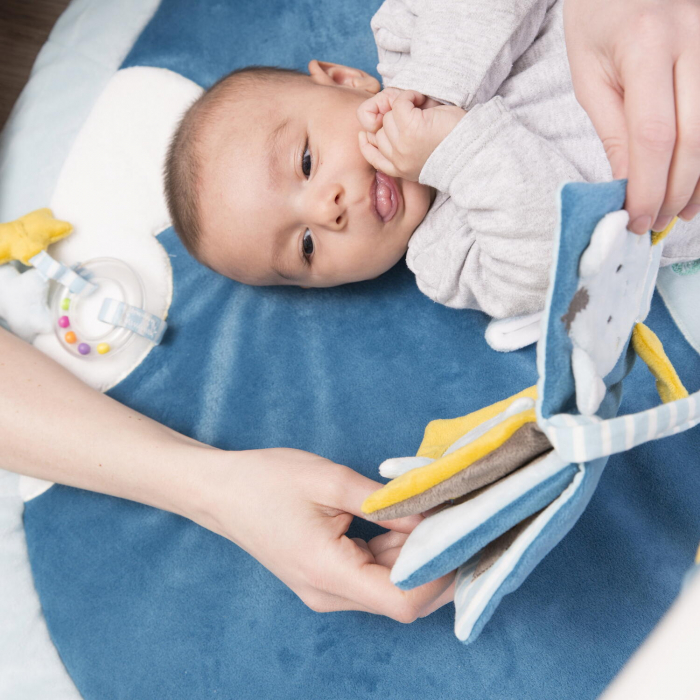 Carticica din plus pentru bebelusi - Liliac haios [4]