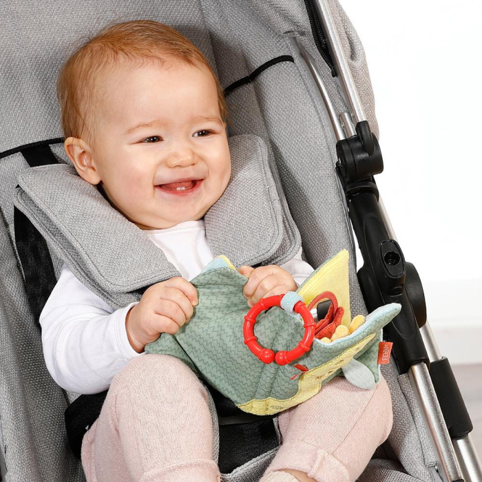 Carticica pentru bebelusi - Dinozaur [3]