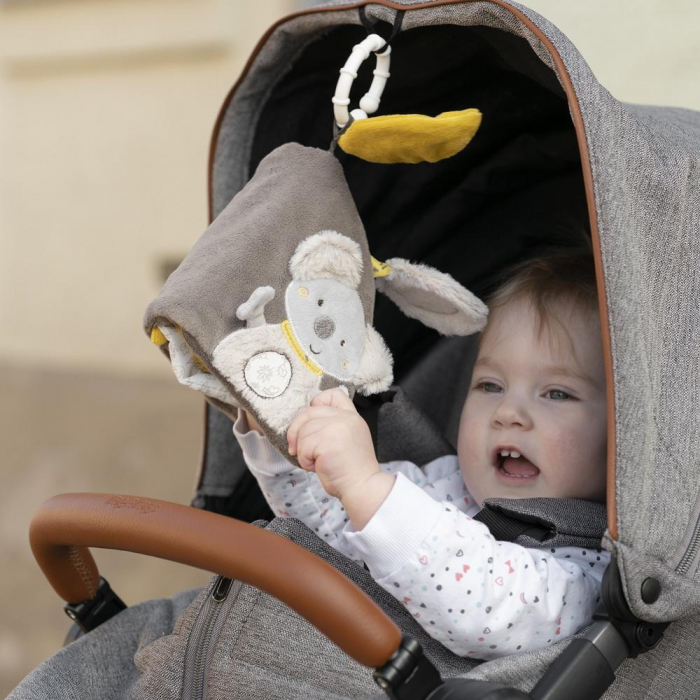 Carticica pentru bebelusi - Koala [5]