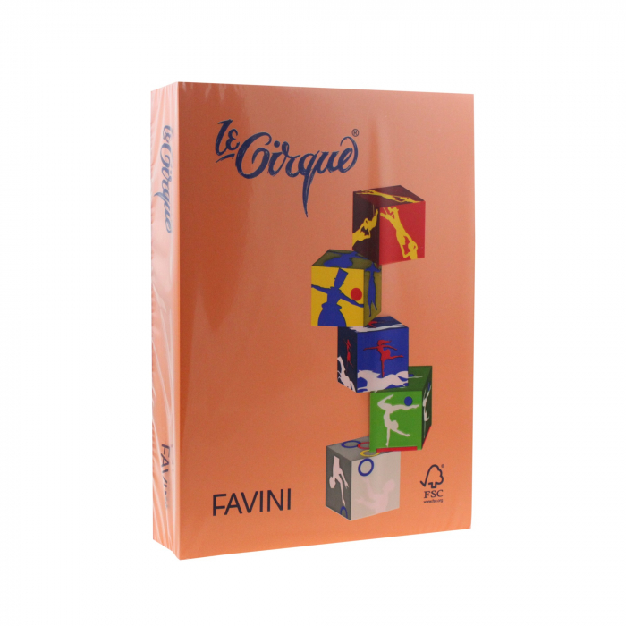 CARTON COLOR 160G/MP A4 205 PORTOCALIU FAVINI  [1]