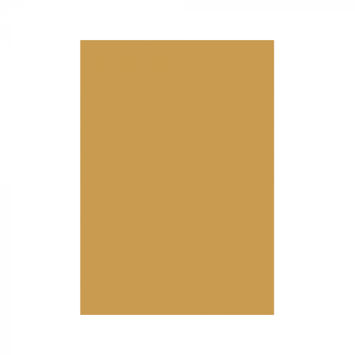 CARTON COLOR 160G/MP  A4  AURIU [1]