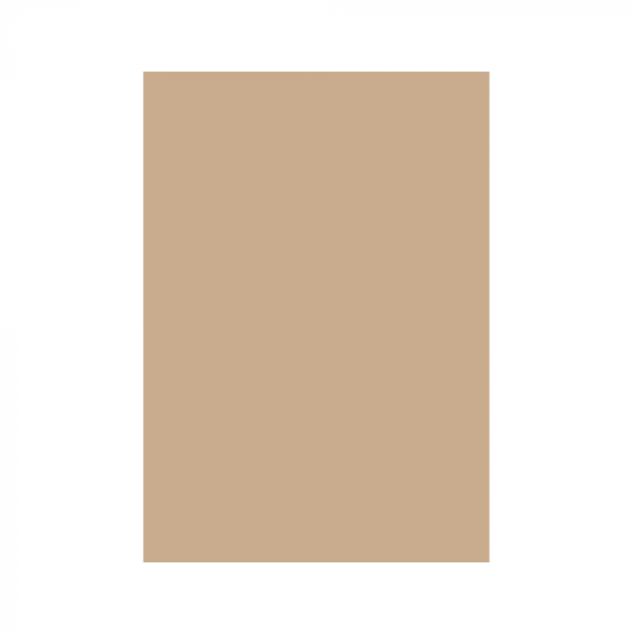 CARTON COLOR 160G/MP  A4  MARO HAZELNUT [1]