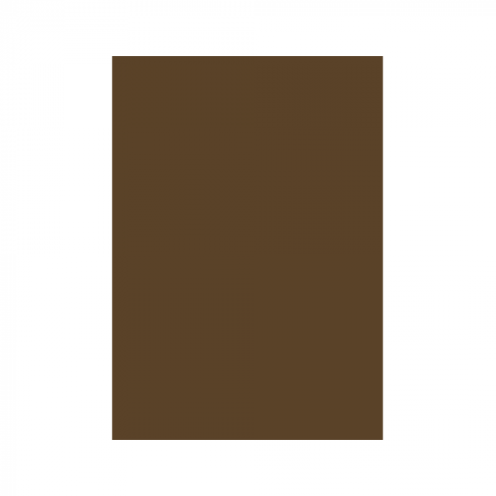 CARTON COLOR 160G/MP  A4  MARO INCHIS [1]