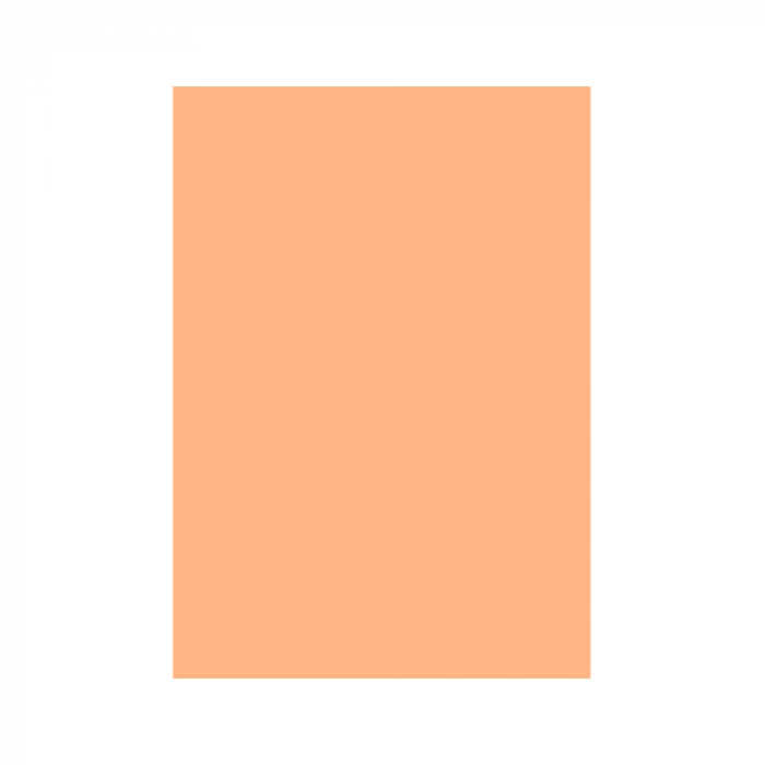 CARTON COLOR 160G/MP  A4  SEPIA [1]