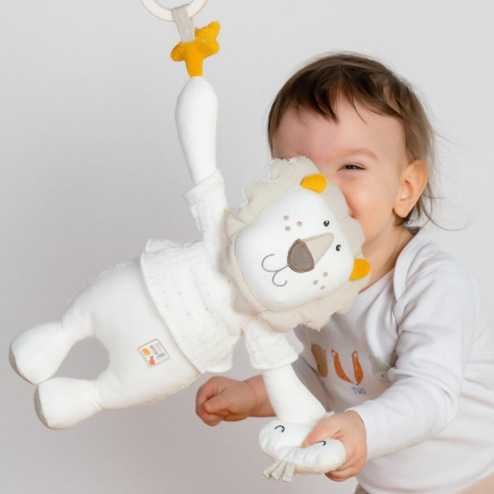 Centru de activitati - Leu NATUR [6]