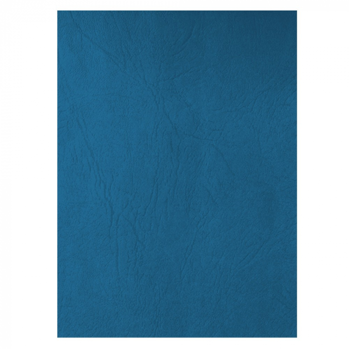 COPERTA CARTON IMITATIE PIELE ECADA 41401A [1]