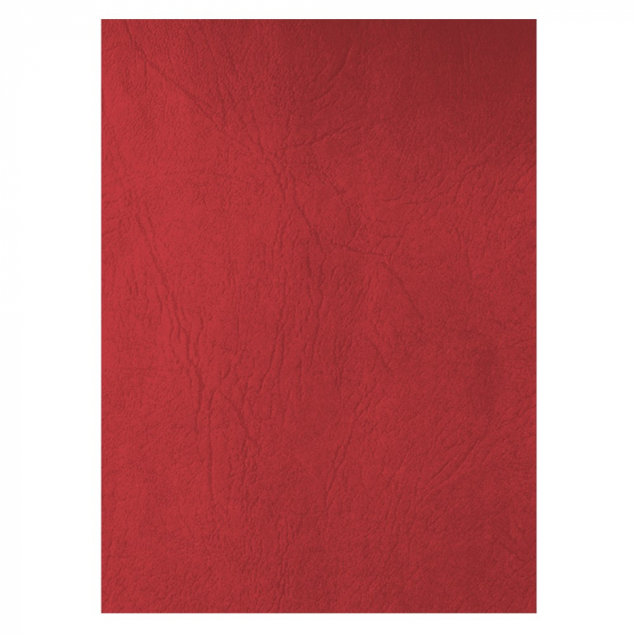 COPERTA CARTON IMITATIE PIELE ECADA 41401R [1]