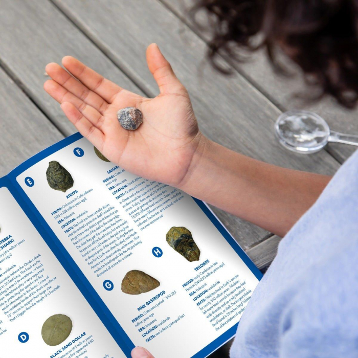 GeoSafari - Kit excavare fosile [11]