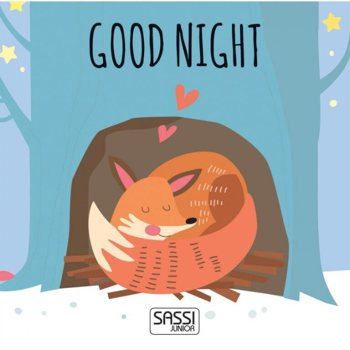 Joc de sortare - Noapte buna [2]