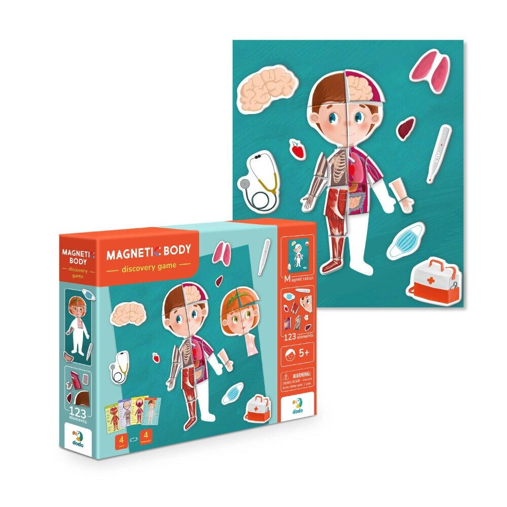 Joc magnetic - Descopera corpul uman [3]