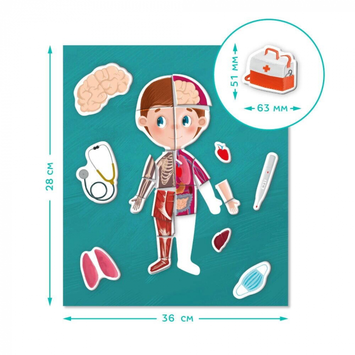 Joc magnetic - Descopera corpul uman [5]