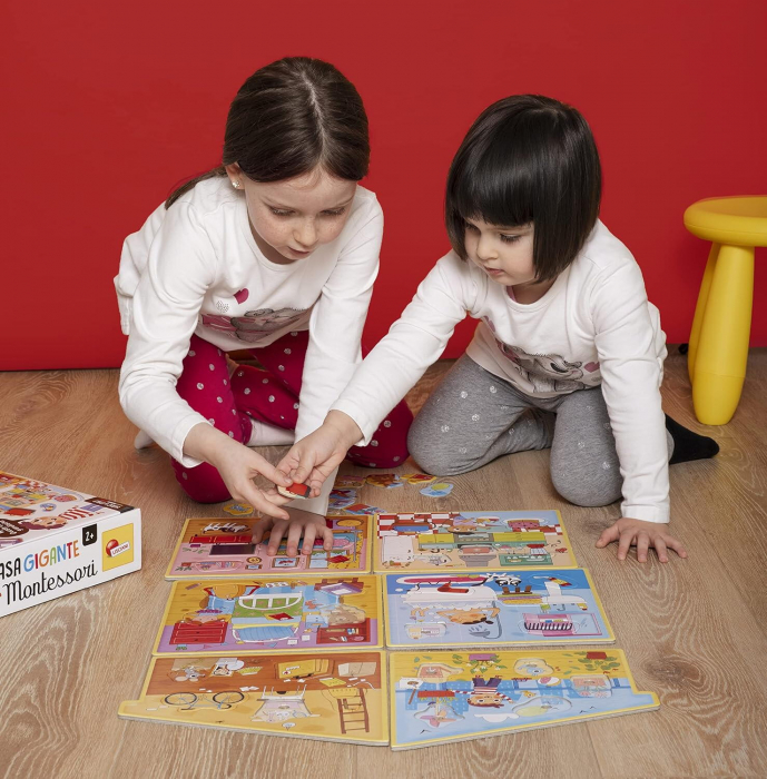 Joc Montessori - Casuta mea ordonata [6]