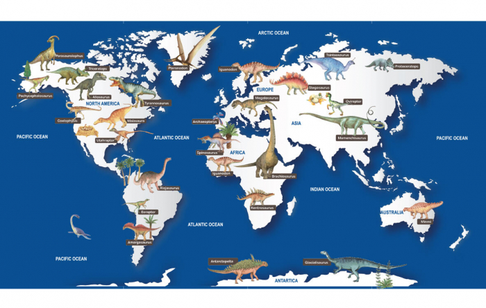 Joc Smart Sticks - Dinozauri [7]