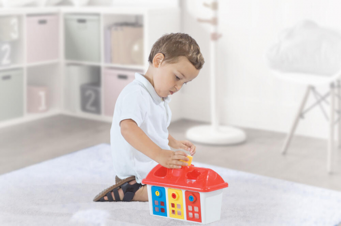 Joc sortare - Casuta colorata cu chei [3]