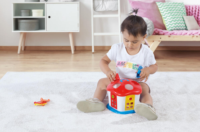 Joc sortare - Casuta vesela cu chei [3]