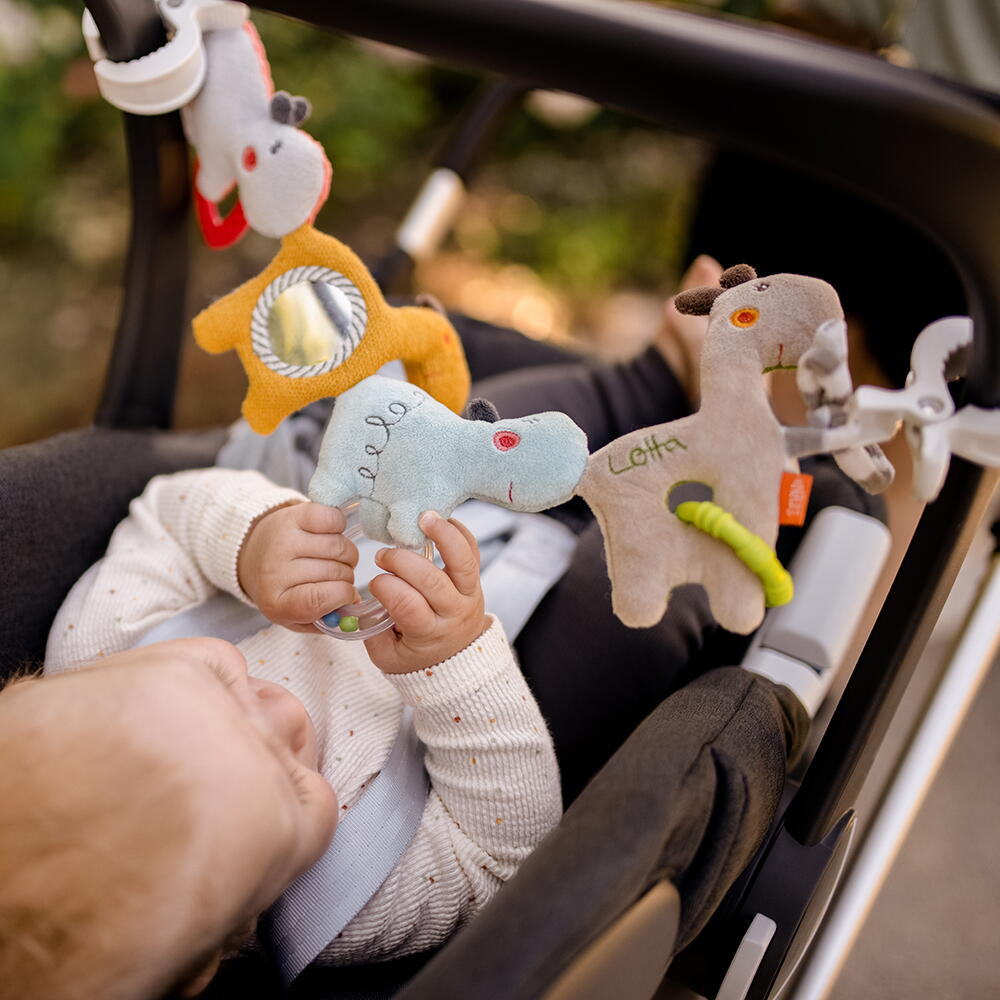 Jucarie carucior - Loopy si Lotta [4]