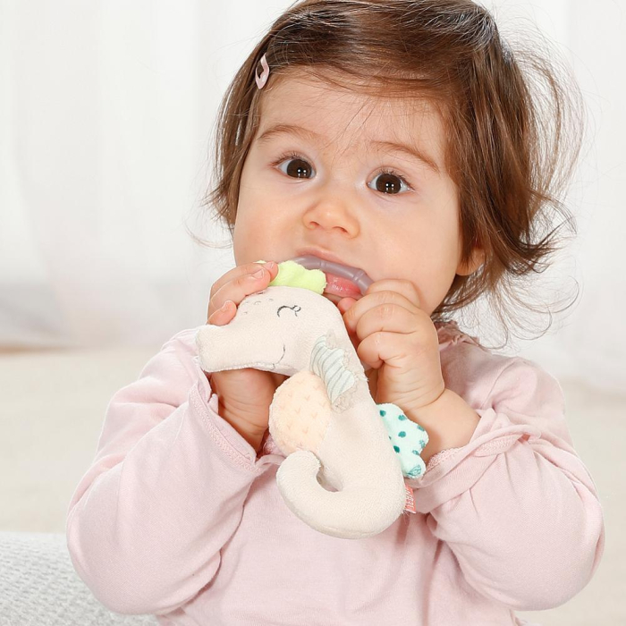 Jucarie de plus - Calut de mare [2]