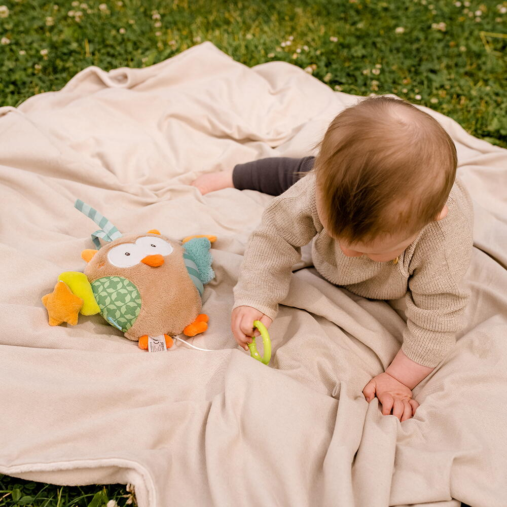 Jucarie muzicala - Bufnita somnoroasa (18 cm) [2]