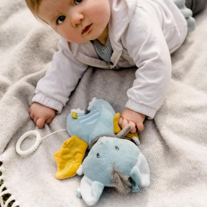 Jucarie muzicala - Liliac haios [3]