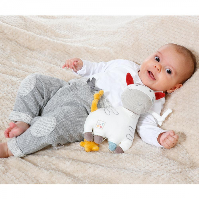 Jucarie muzicala - Zebra NATUR [3]