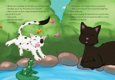 Jup, un pisoi de soi – volumul IX – Un salt norocos [4]