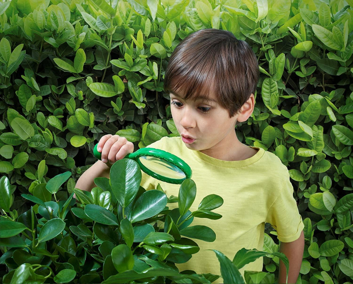 Lupa exploratorului [3]