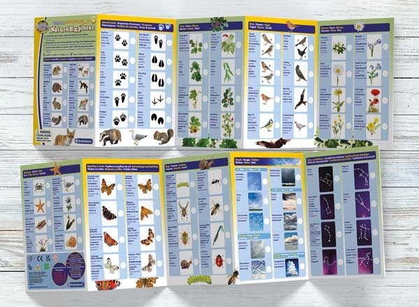 Lupa micutului explorator [8]