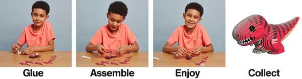 Model 3D - Tyrannosaurus Rex [9]