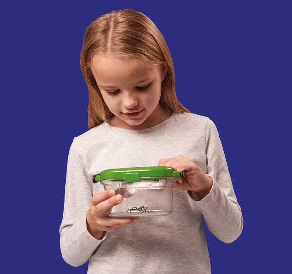 Observatorul pentru insecte [7]